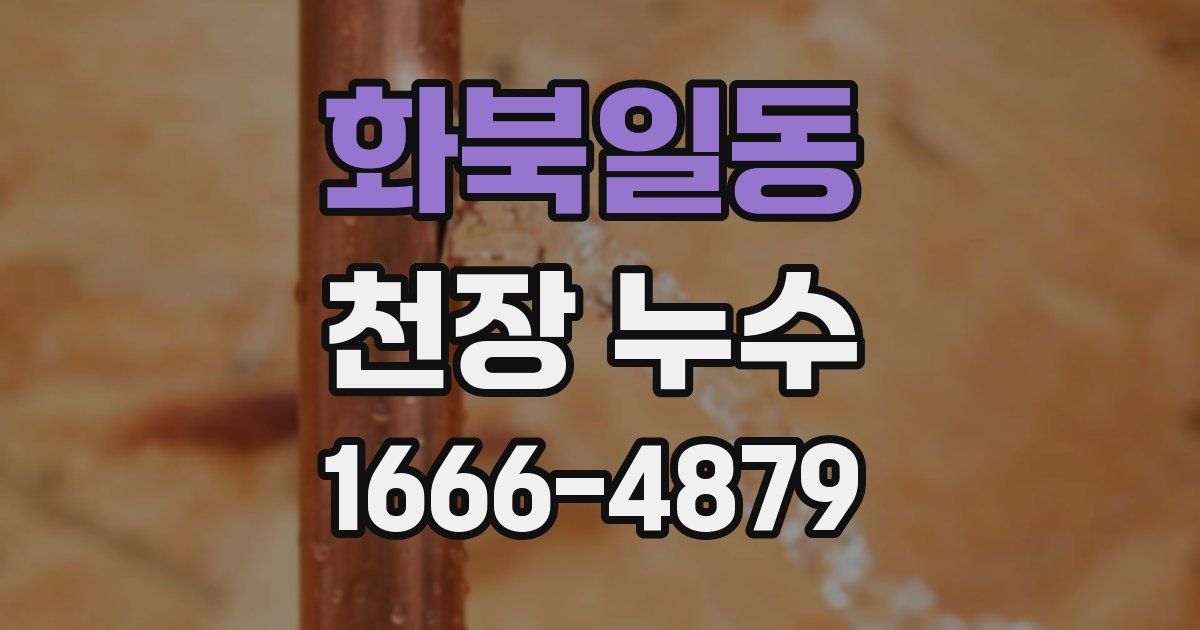 화북일동 천장 누수