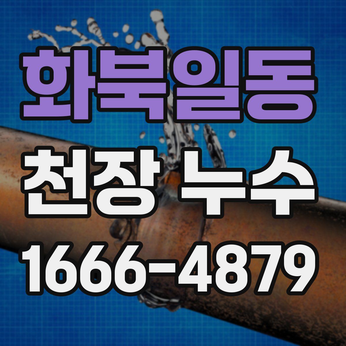 화북일동 천장 누수