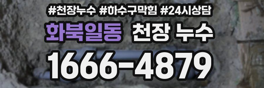 화북일동 천장 누수