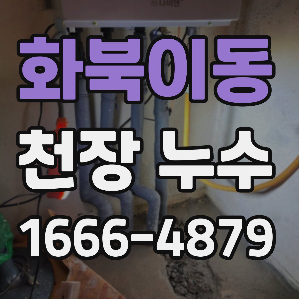 화북이동 천장 누수