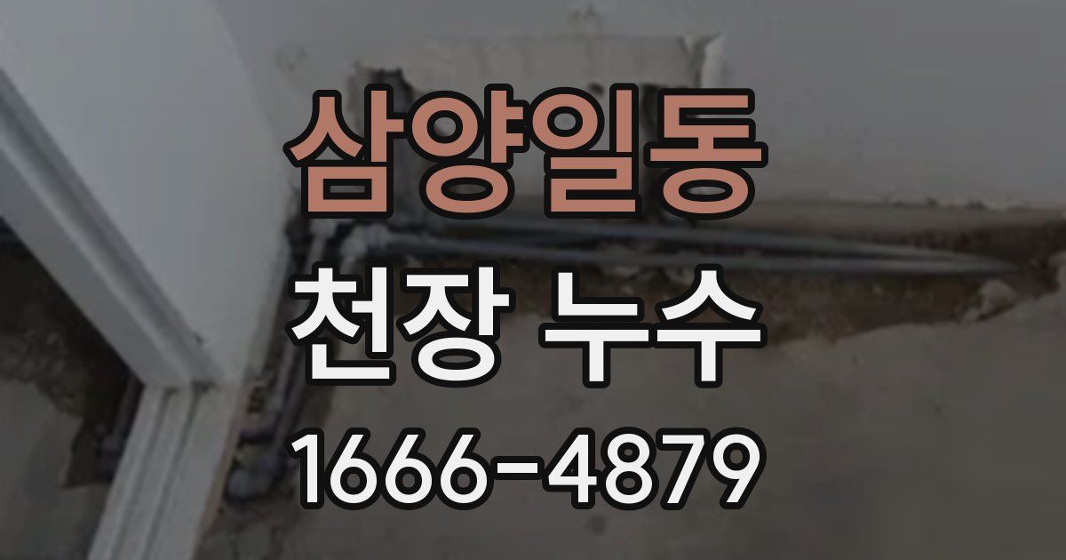 삼양일동 천장 누수