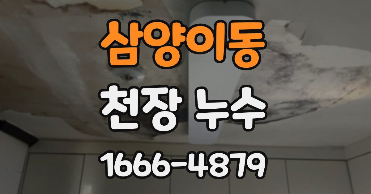 삼양이동 천장 누수