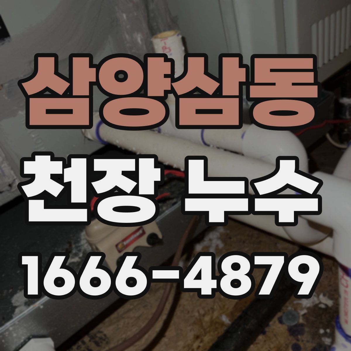 삼양삼동 천장 누수