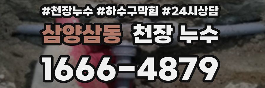 삼양삼동 천장 누수