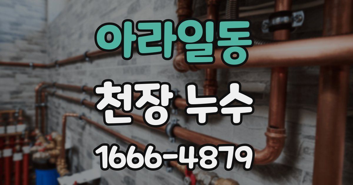 아라일동 천장 누수