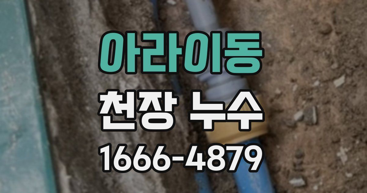 아라이동 천장 누수