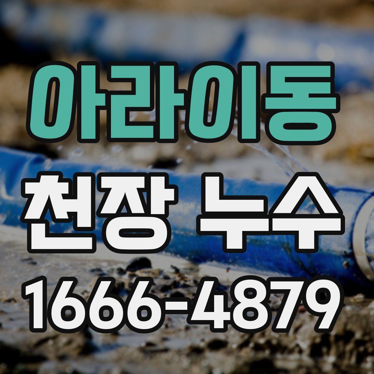 아라이동 천장 누수