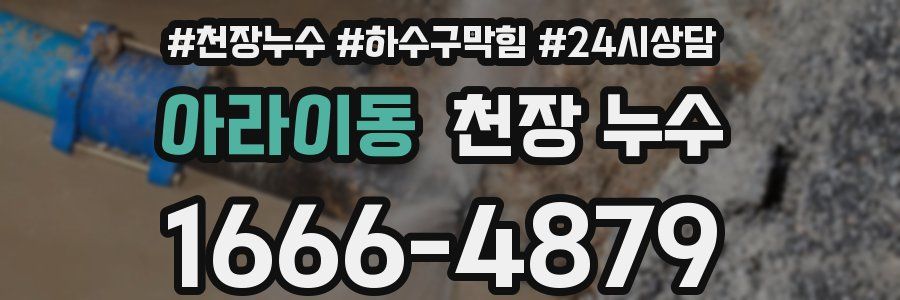 아라이동 천장 누수