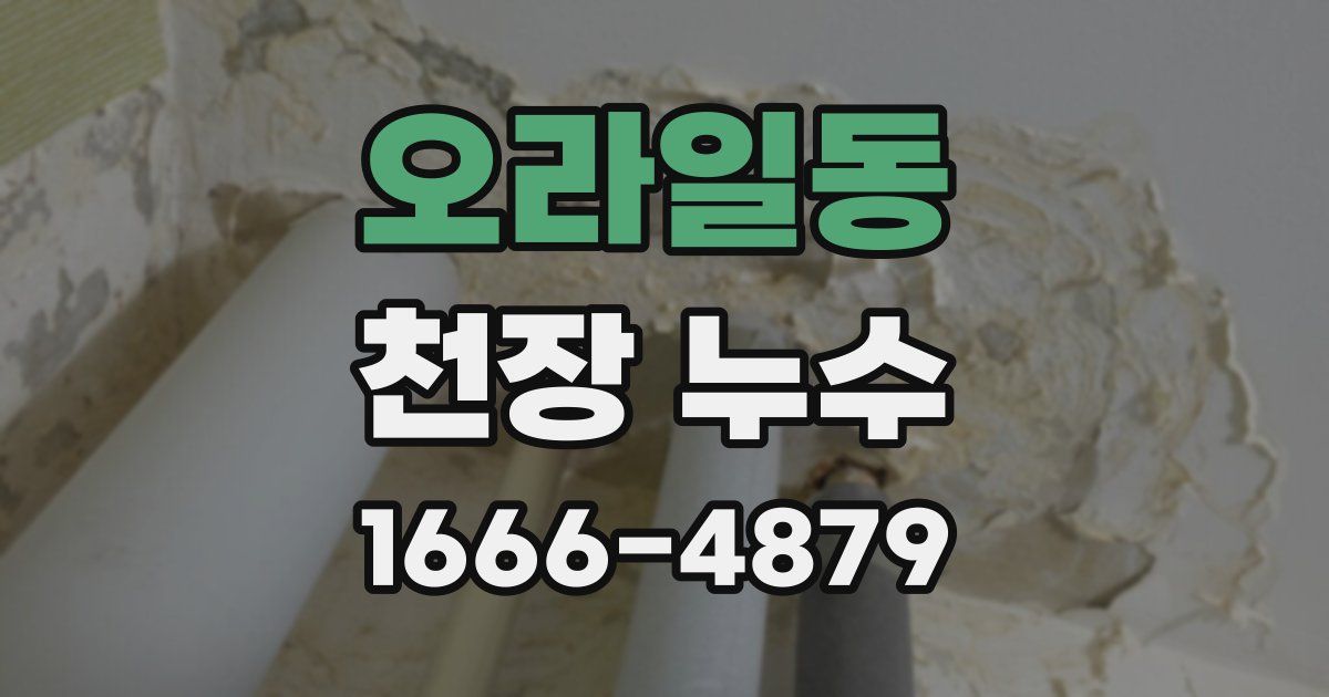 오라일동 천장 누수