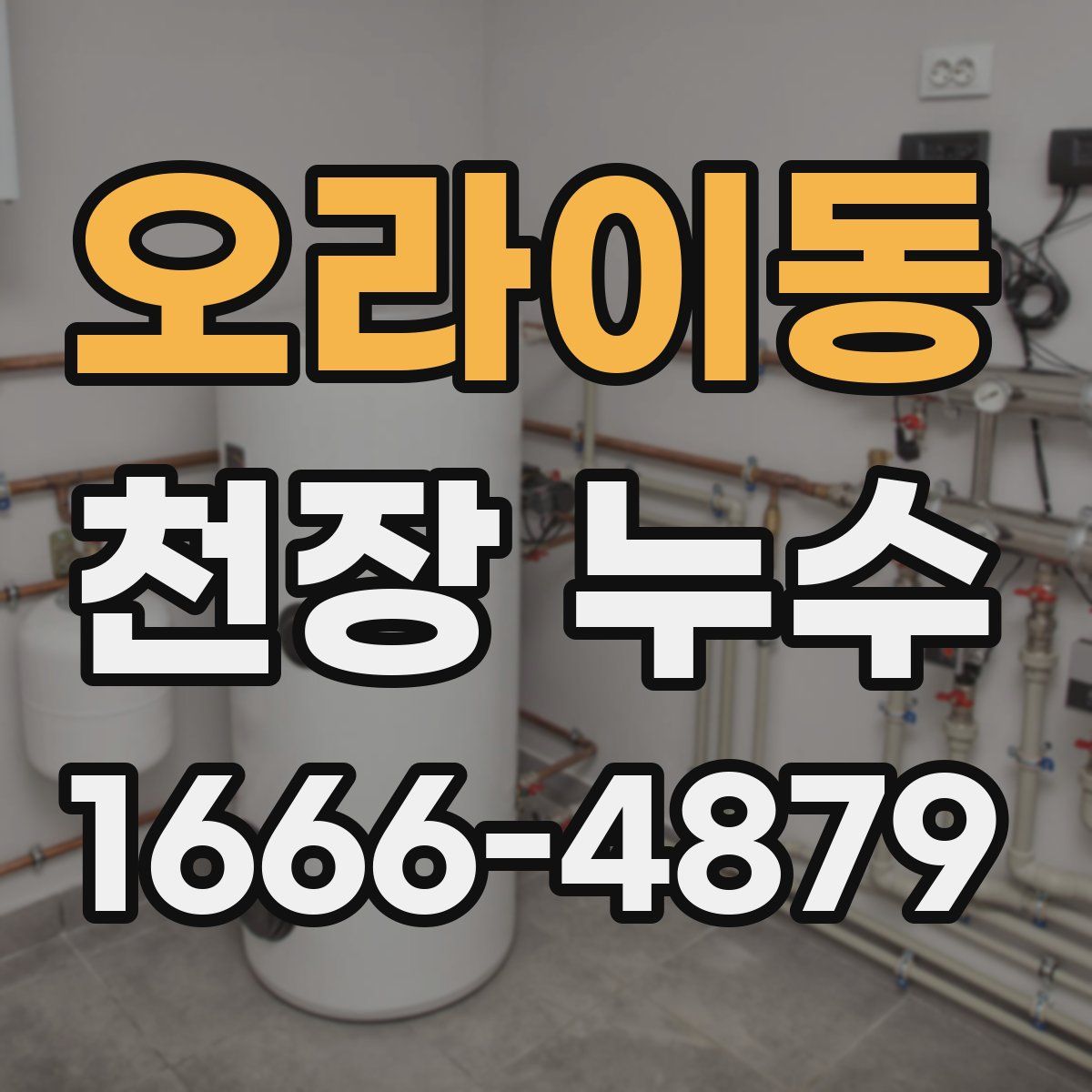 오라이동 천장 누수