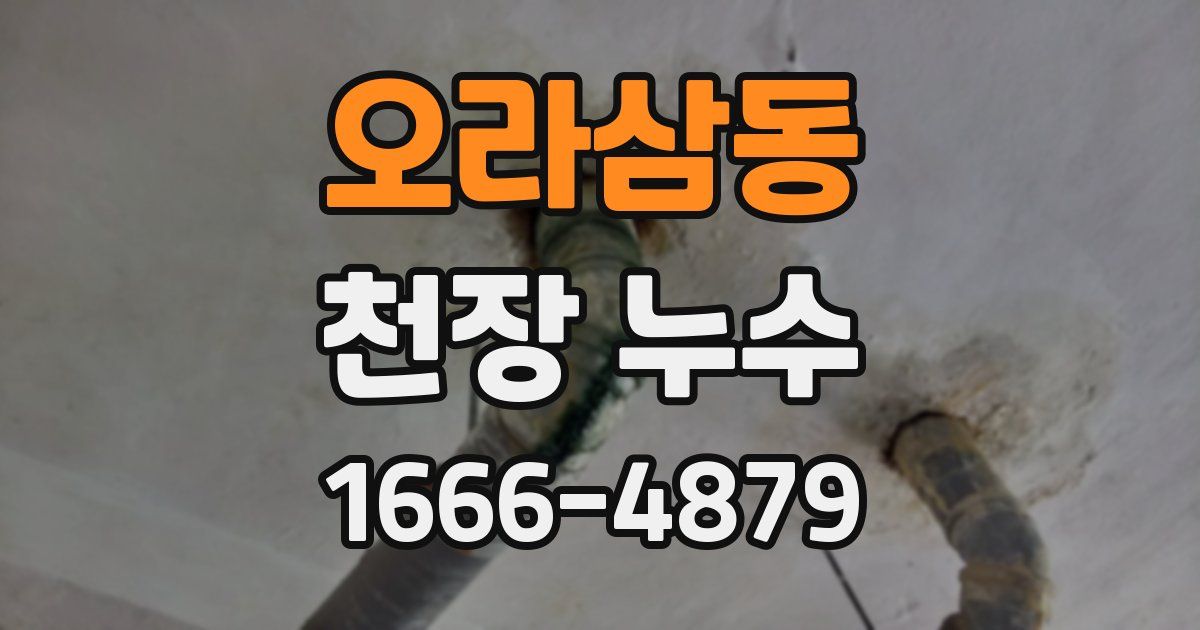 오라삼동 천장 누수