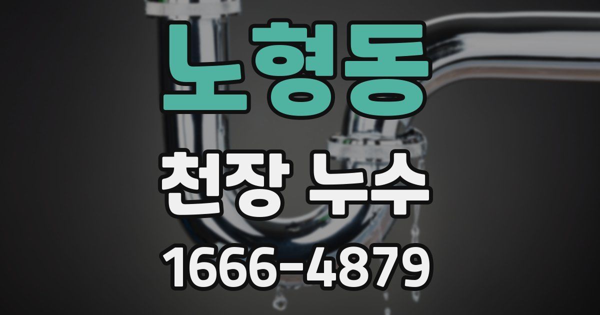 노형동 천장 누수