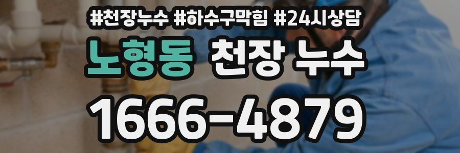 노형동 천장 누수