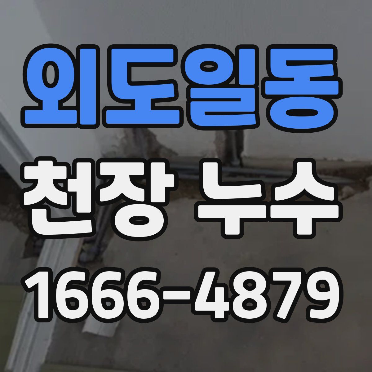 외도일동 천장 누수