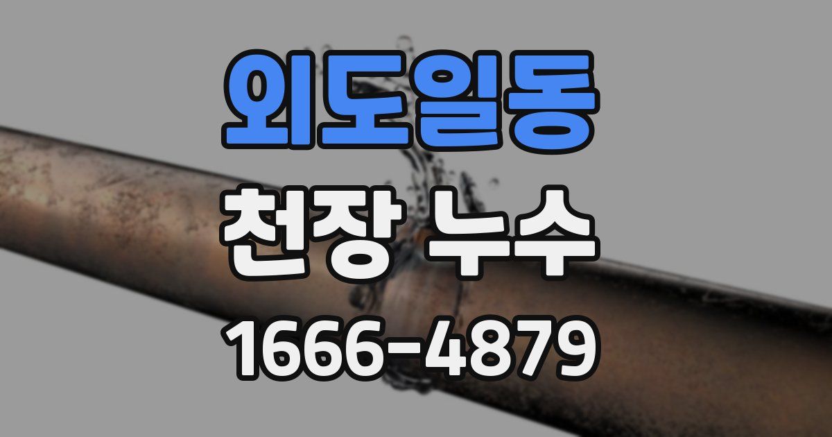 외도일동 천장 누수