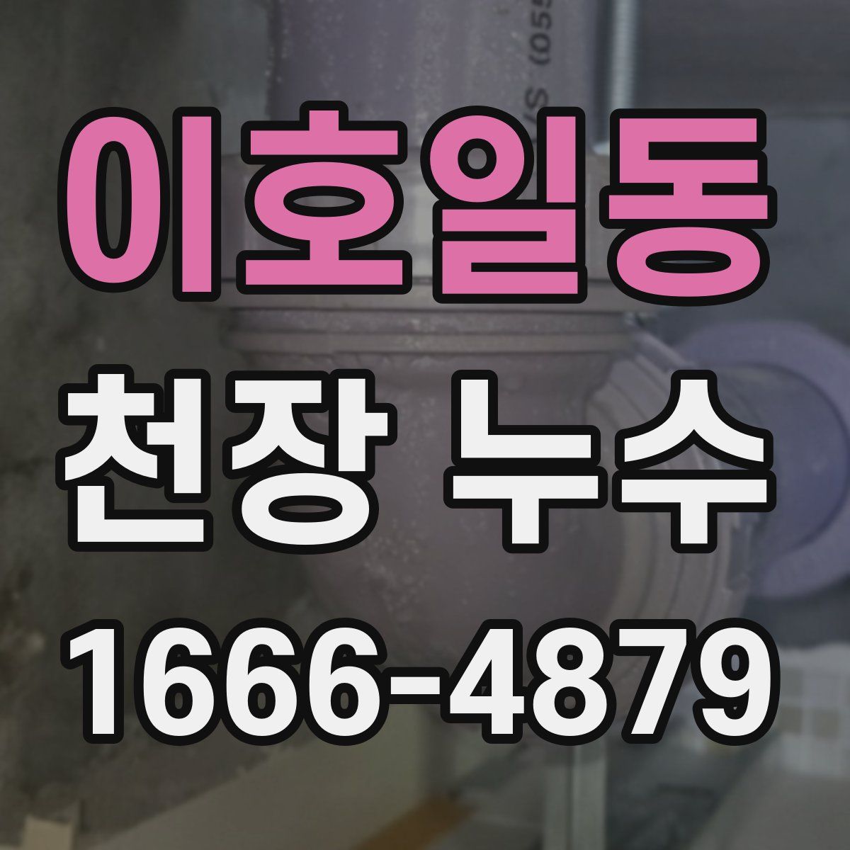 이호일동 천장 누수