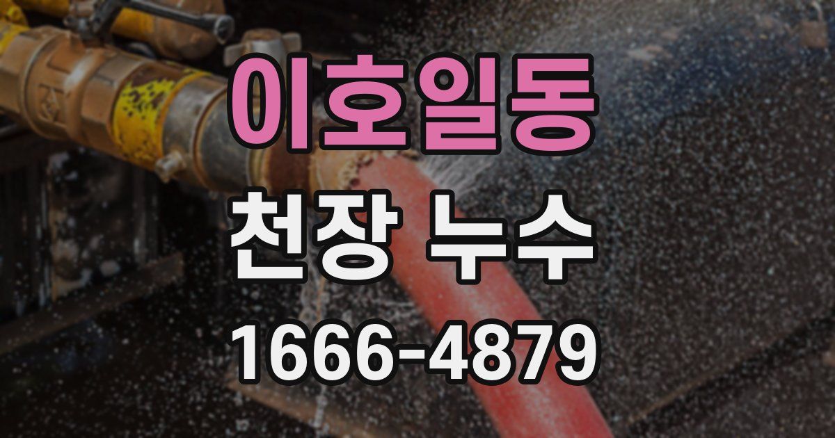 이호일동 천장 누수