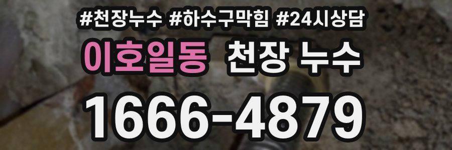 이호일동 천장 누수