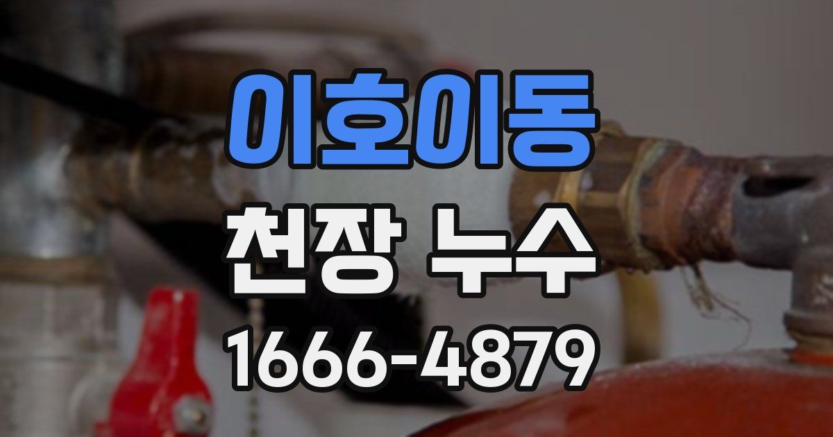 이호이동 천장 누수