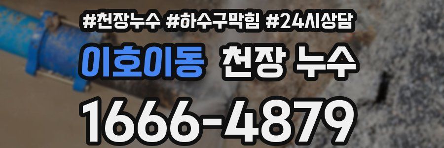 이호이동 천장 누수