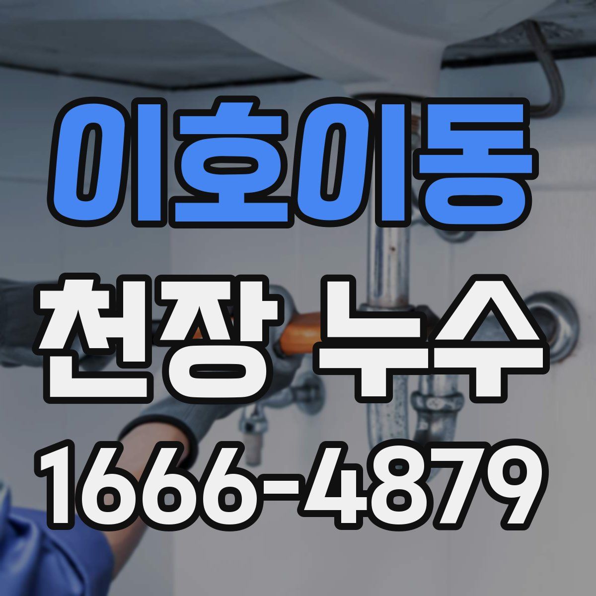 이호이동 천장 누수