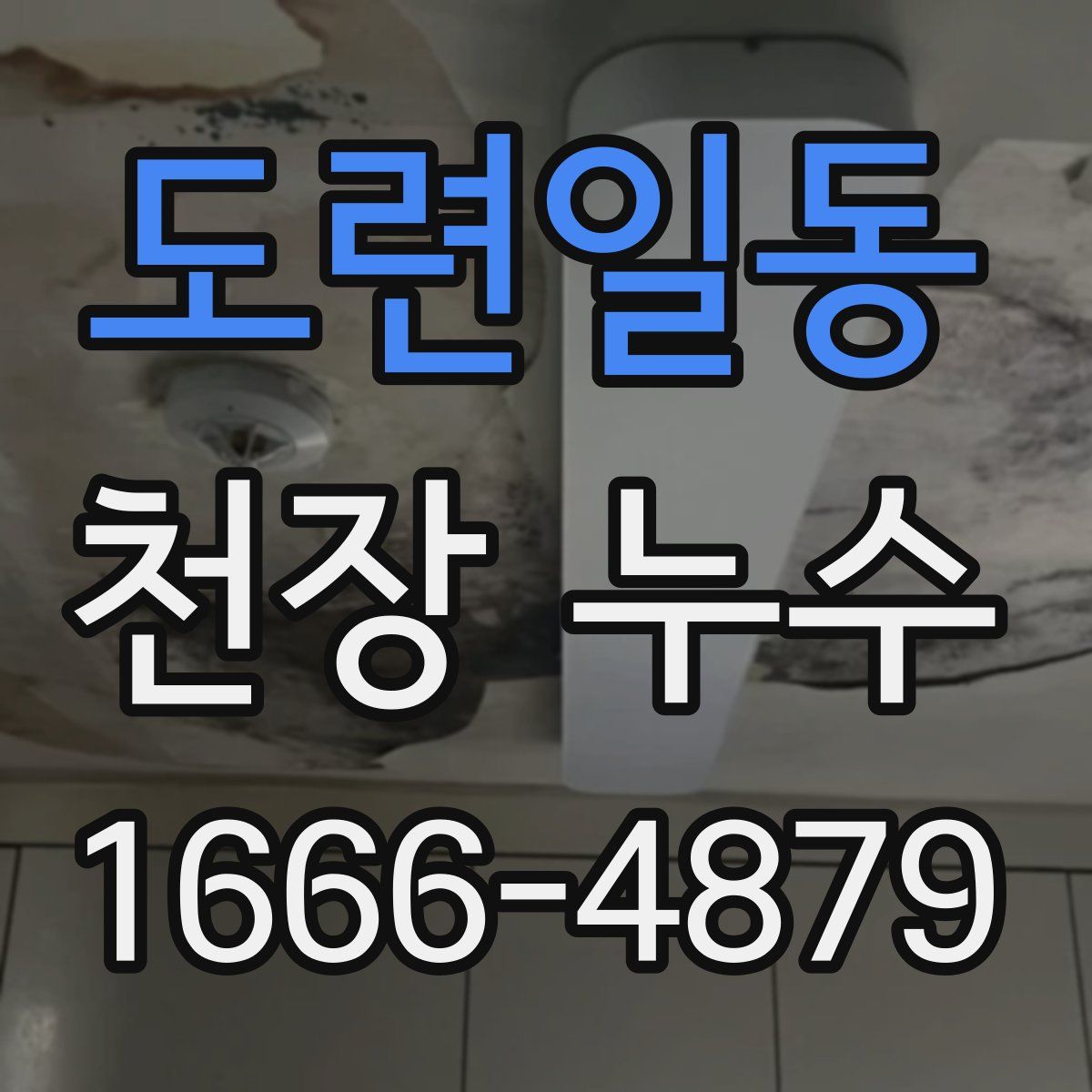 도련일동 천장 누수