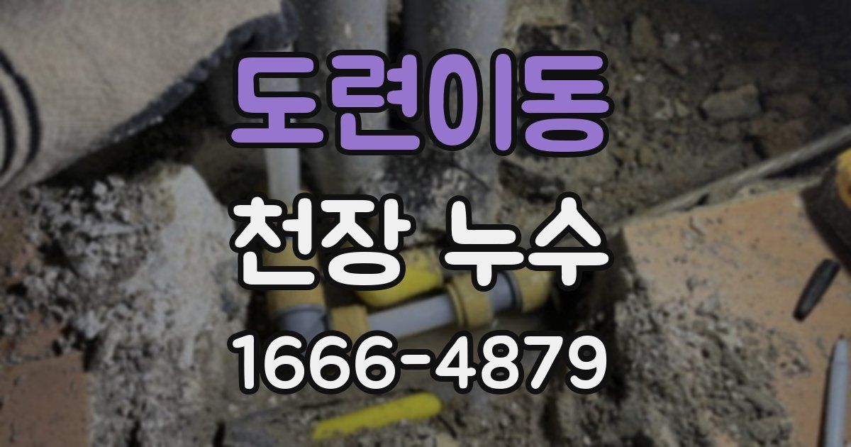 도련이동 천장 누수