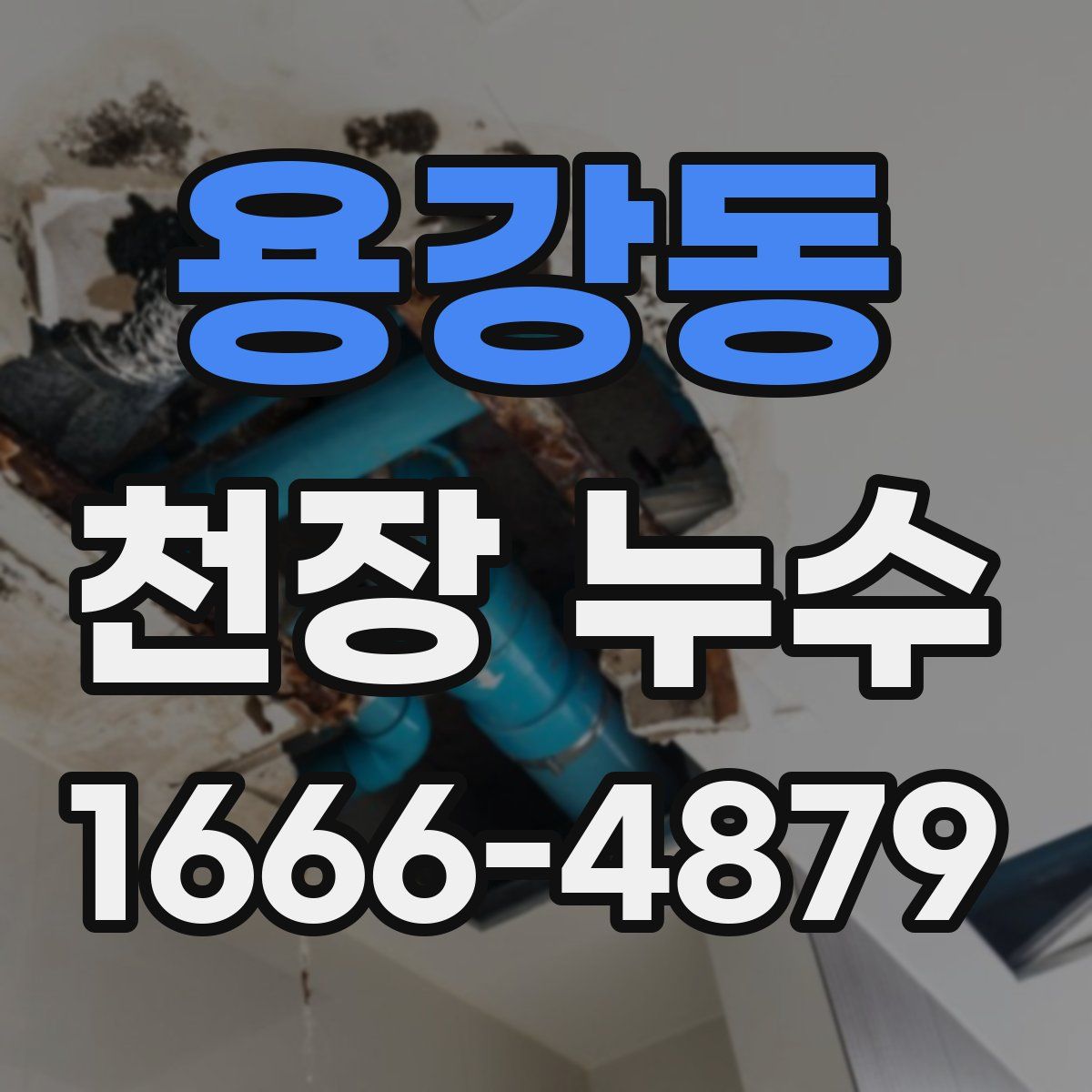 용강동 천장 누수