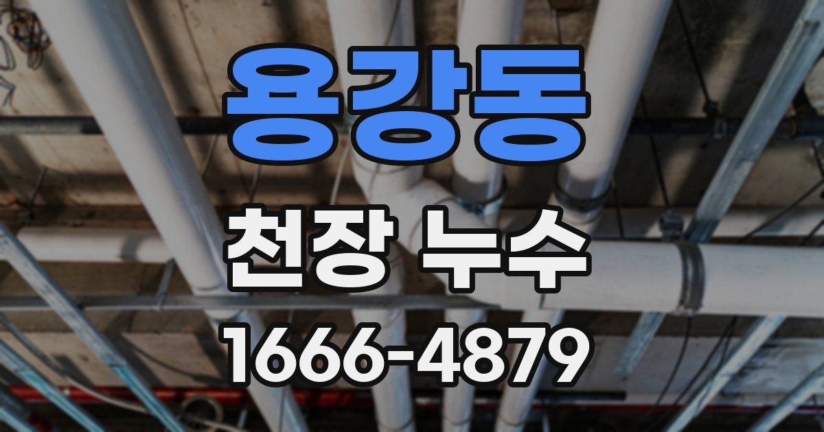 용강동 천장 누수