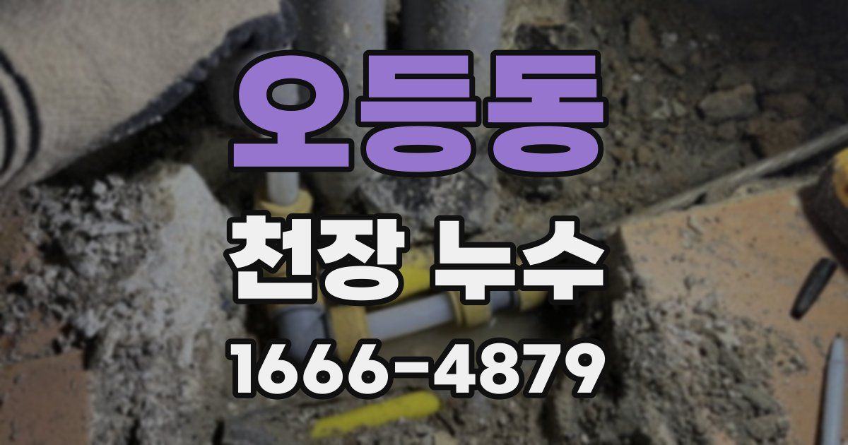 오등동 천장 누수