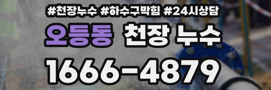 오등동 천장 누수