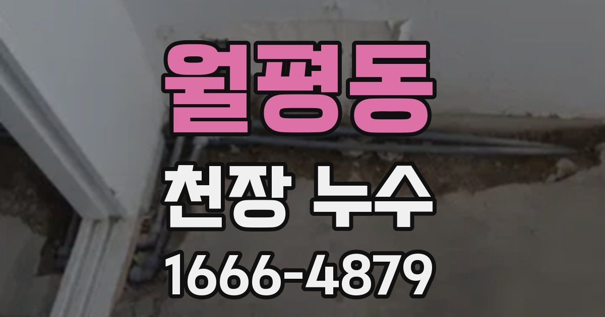 월평동 천장 누수