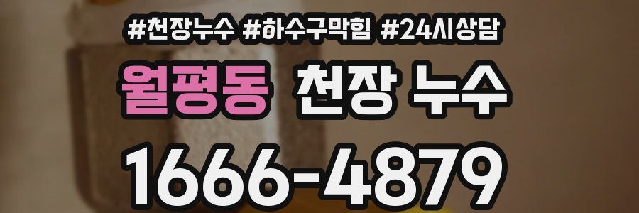 월평동 천장 누수