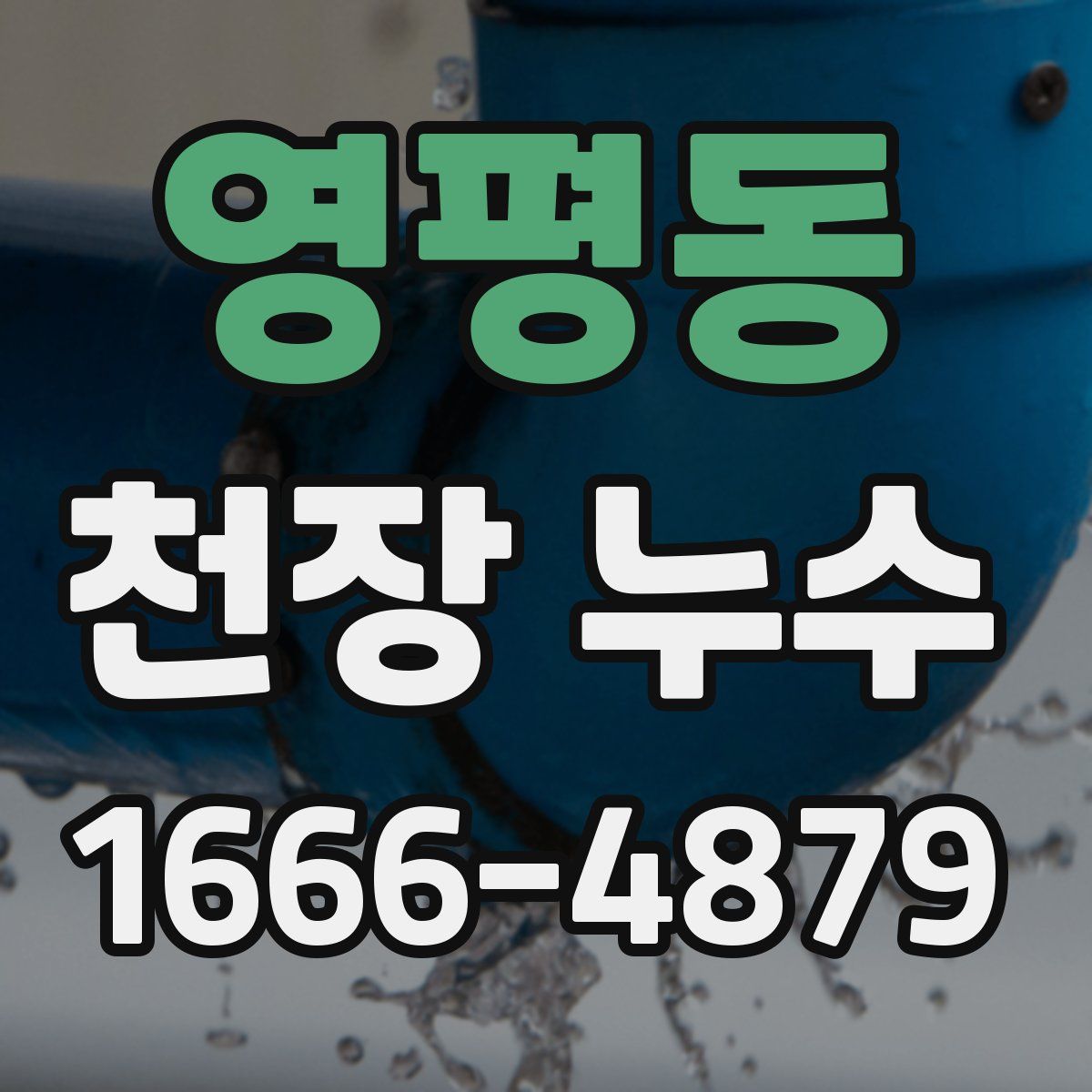 영평동 천장 누수