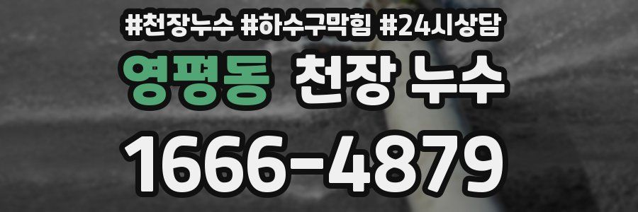 영평동 천장 누수