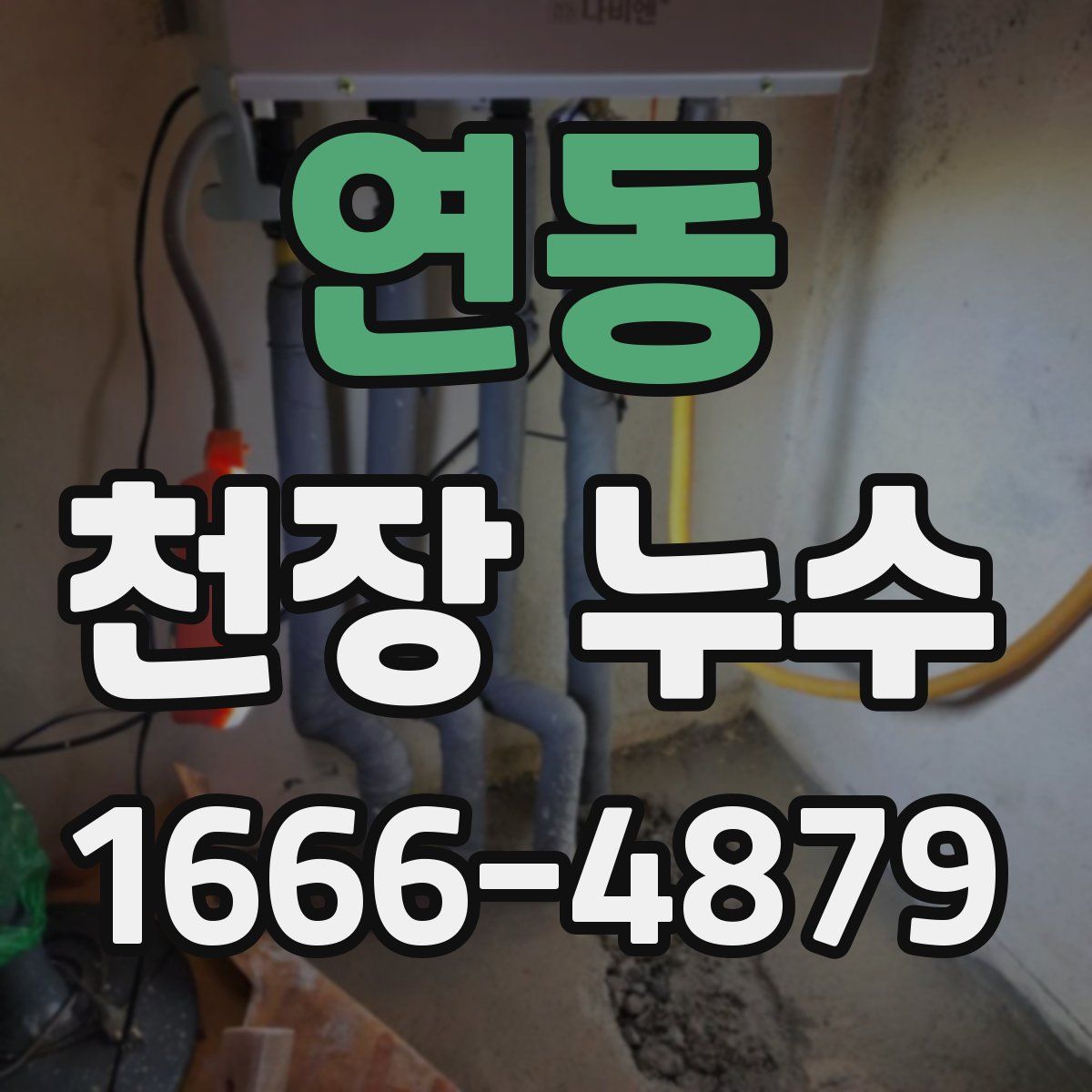 연동 천장 누수