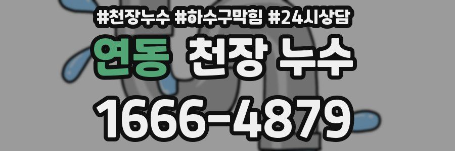 연동 천장 누수