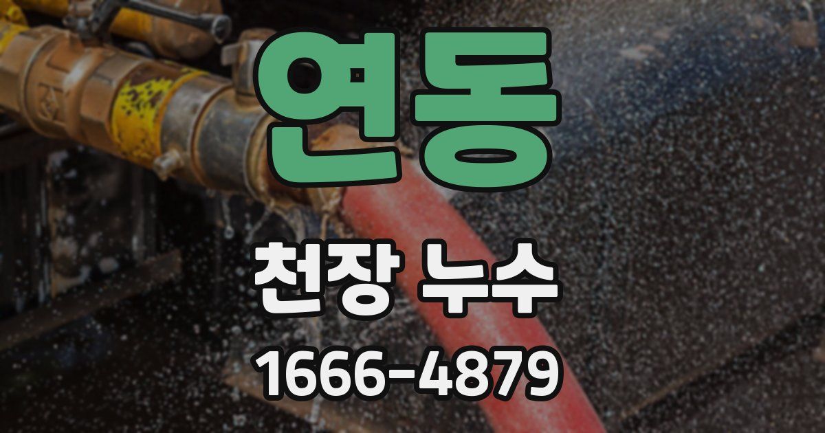 연동 천장 누수