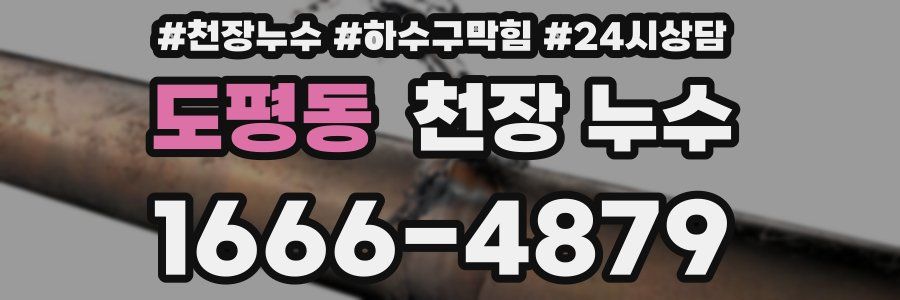 도평동 천장 누수