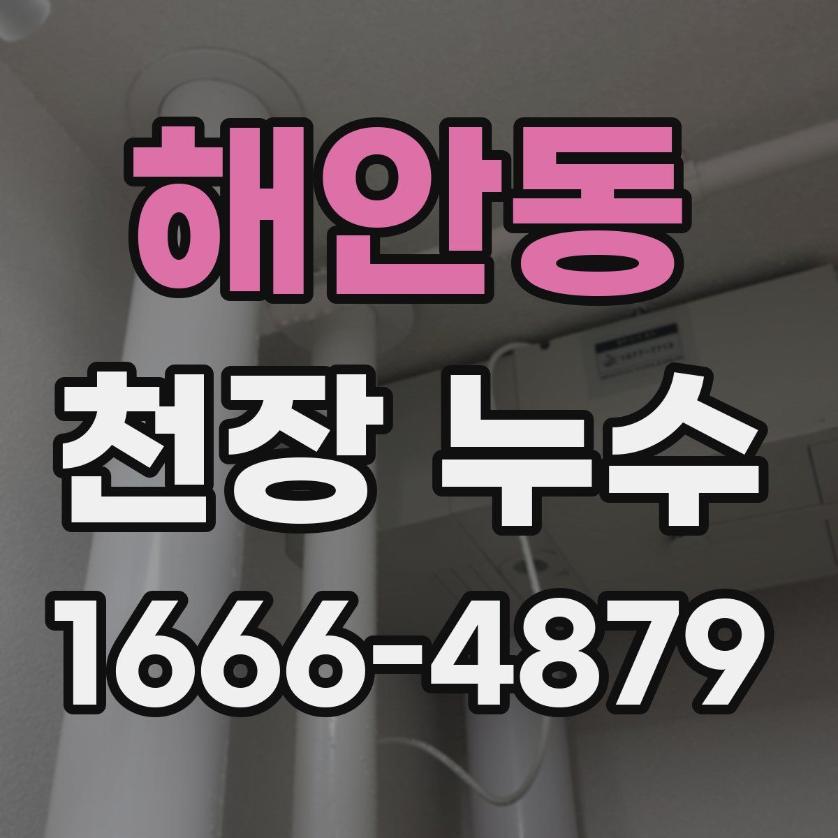 해안동 천장 누수