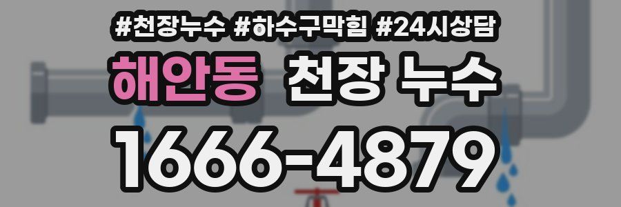 해안동 천장 누수