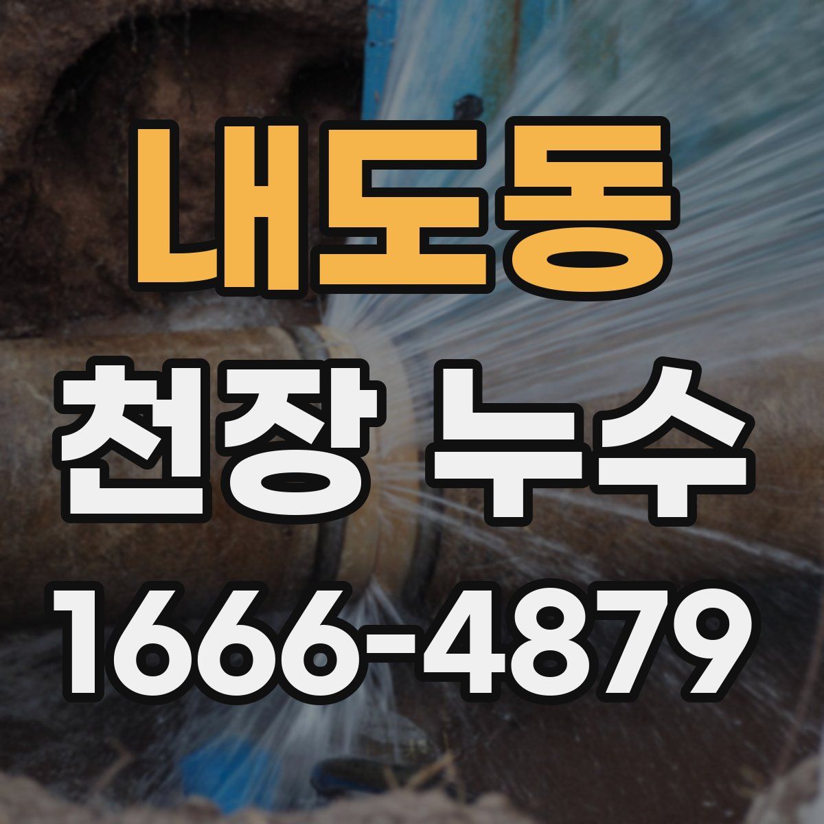 내도동 천장 누수