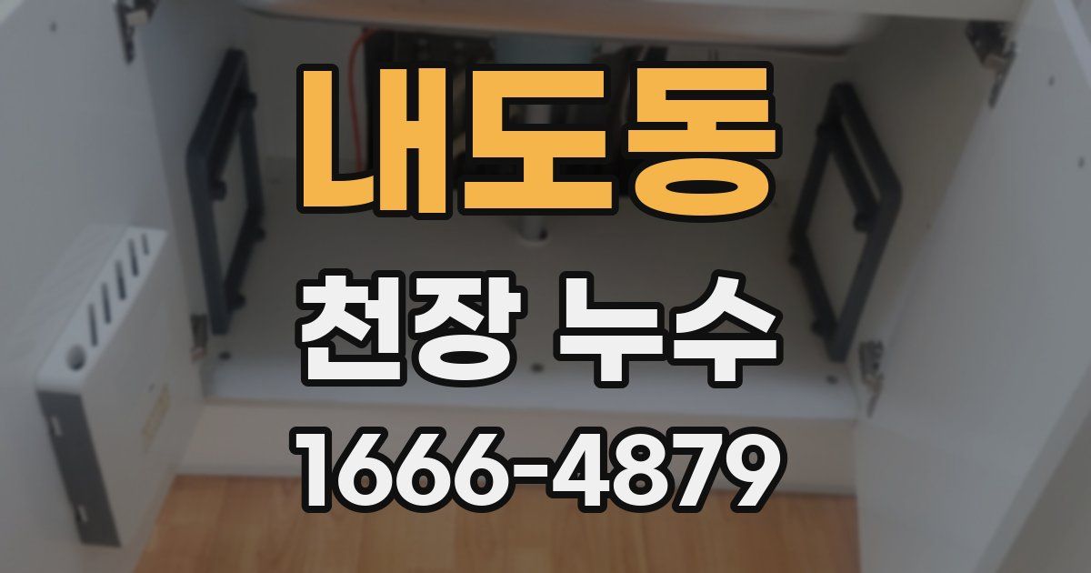 내도동 천장 누수