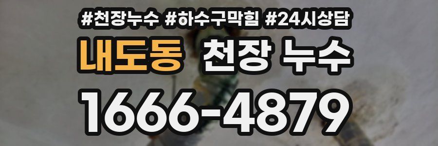 내도동 천장 누수
