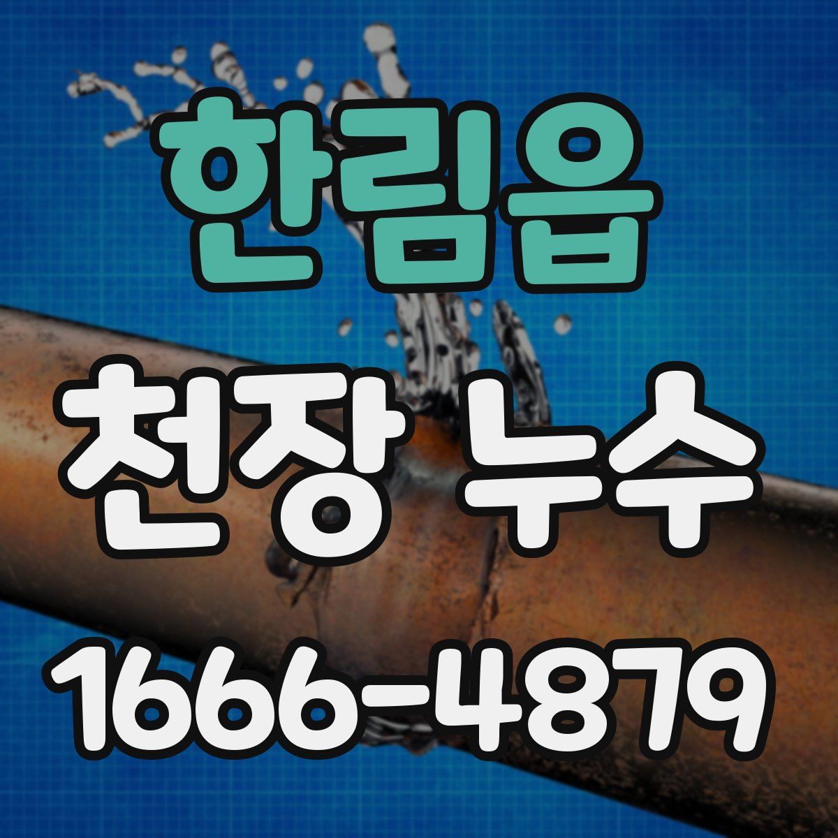 한림읍 천장 누수