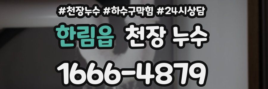 한림읍 천장 누수