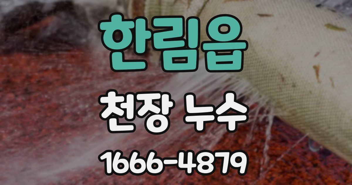 한림읍 천장 누수