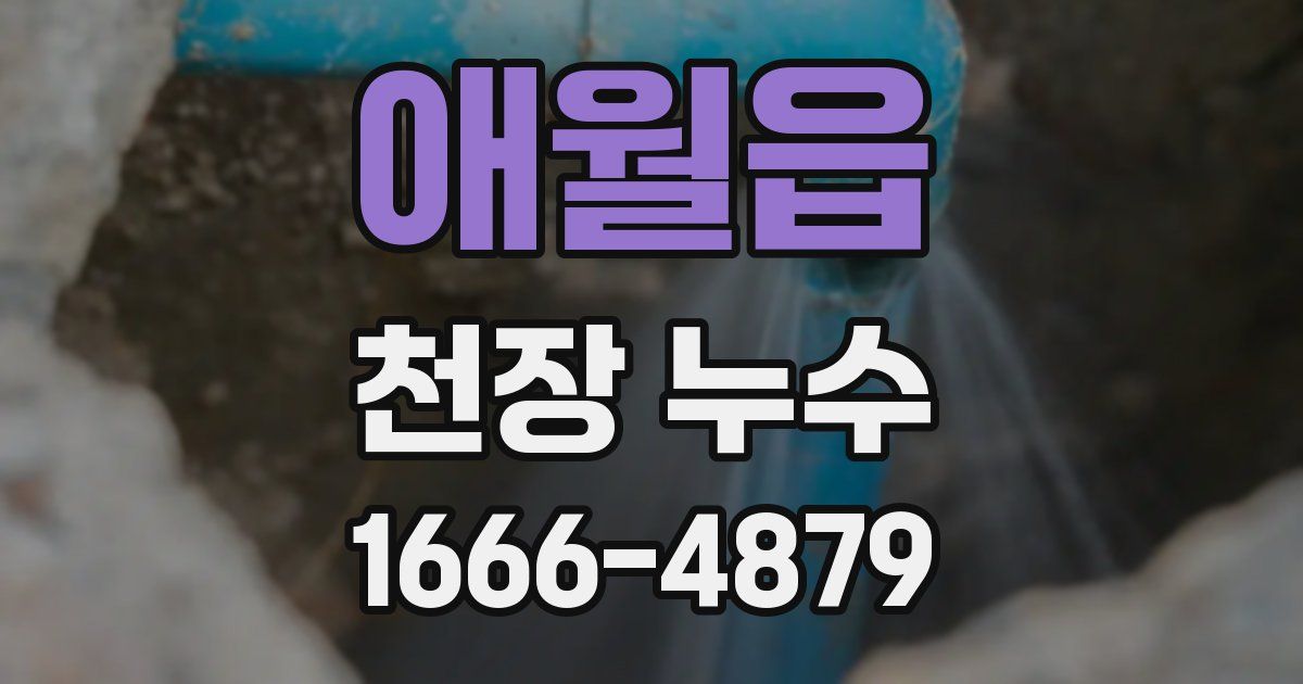 애월읍 천장 누수