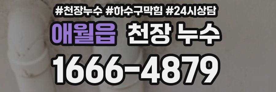 애월읍 천장 누수