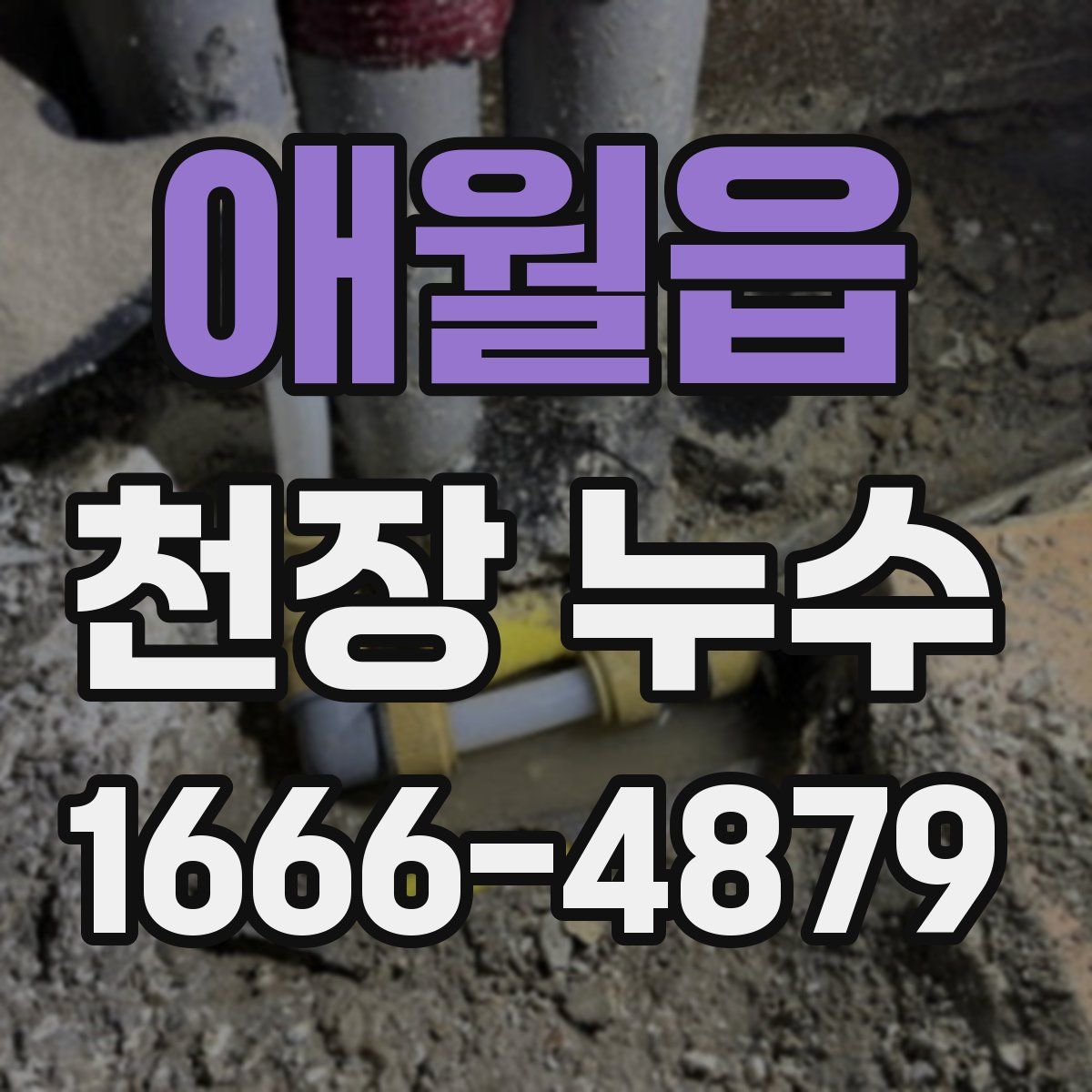 애월읍 천장 누수